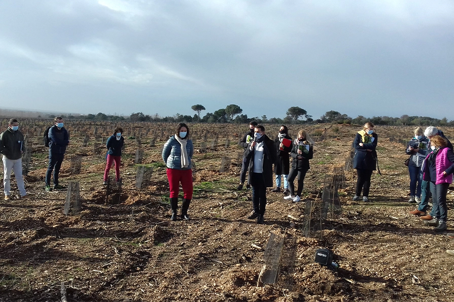 Ces projets de reforestation ont été labellisés Bas-Carbone en décembre 2020 devraient permettre de stocker 344 tonnes de CO2 chacun en 30 ans, soit 688 tonnes au total
