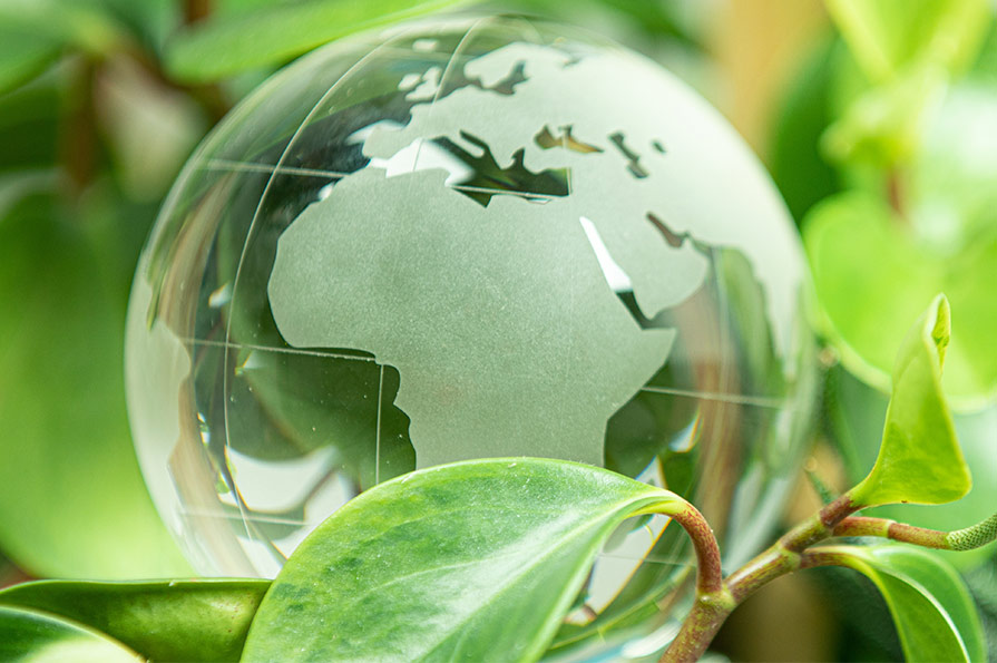 La Poste a signé une convention de partenariat avec la Fondation GoodPlanet, créée en 2005 par Yann Arthus-Bertrand.